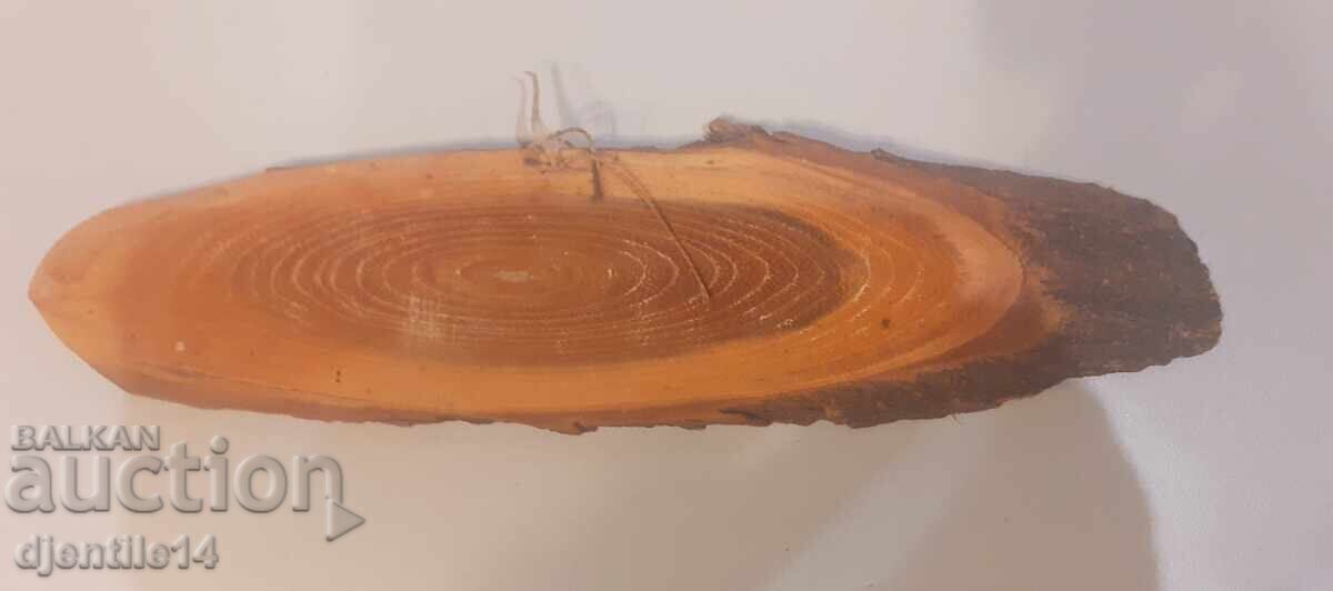 Auction  Soviet pioneer souvenir