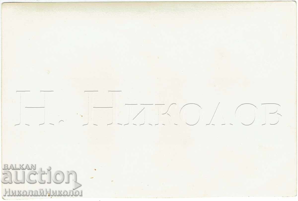 1958 ГОЛЯМА СТАРА СНИМКА КРИМ ГУРЗУФ ПИОНЕРСКИ ФЕСТИВАЛ Ж610 с цена € 8.50 | 16.62 лв.