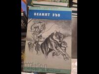 White Tooth Jack London