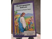 Illustrated Bible: The Books of the New Testament