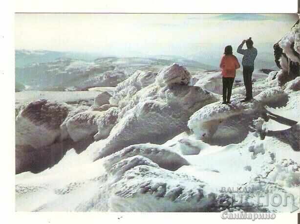 Carte poștală Bulgaria Sofia Vitosha Vedere de la Cherni Vrah către