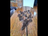 Стара естествена коса