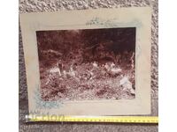 Παλιά φωτογραφία σκληρή