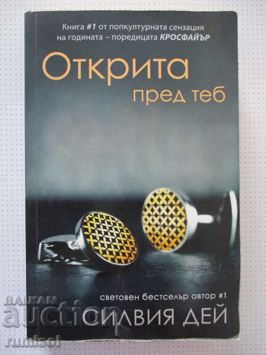 Open to You - Sylvia Day