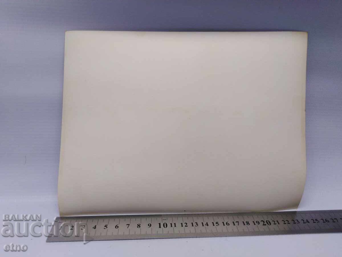 Δημοπρασία 1980 g. ΤΟΝΤΟΡ ΖΙΒΚΟΦ ΣΤΗΝ ΕΚΘΕΣΗ ΤΗΣ ΦΙΛΙΠΠΟΥΠΟΛΗΣ