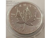 Silver 1 oz F15 Maple Leaf 2013 5 Dollars Canada