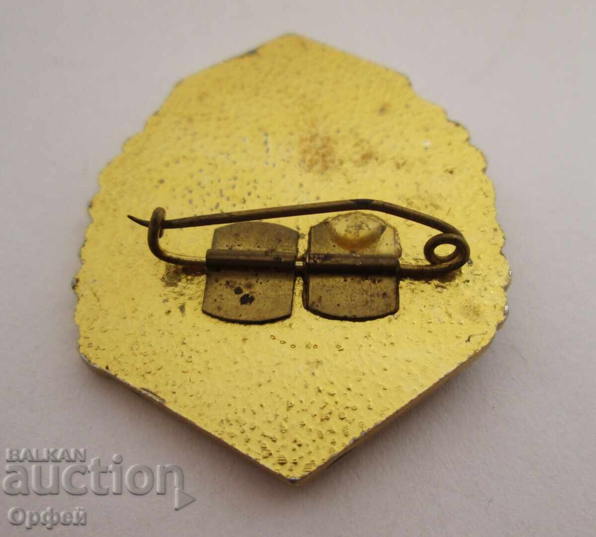 Аукцион НРБ Соц нагръден знак значка 30г Видински граничен отряд