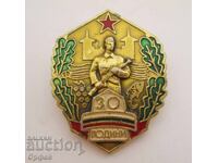НРБ Соц нагръден знак значка 30г Видински граничен отряд