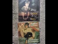 Лот големи плочи