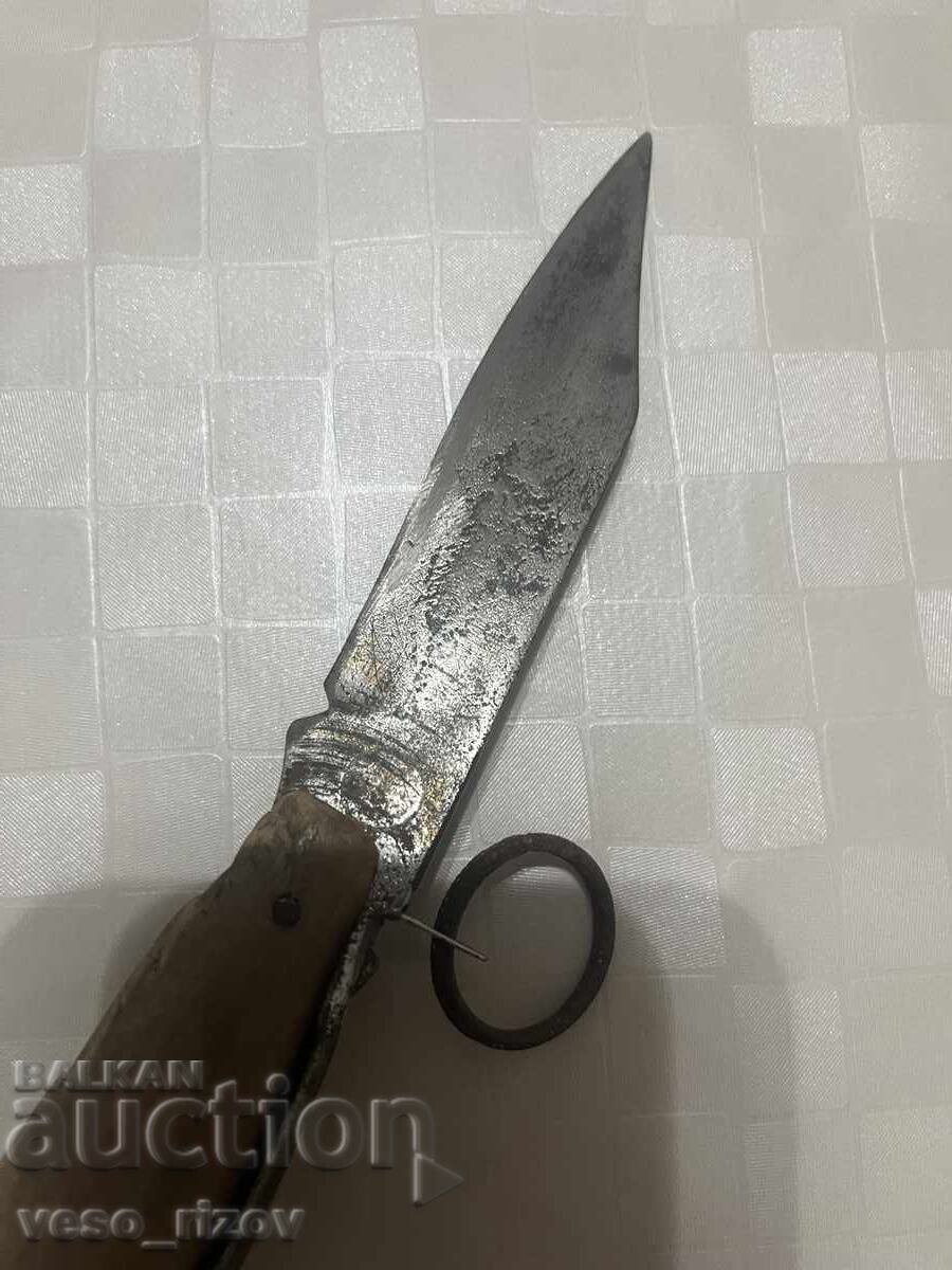 Licitație Gaiță veche