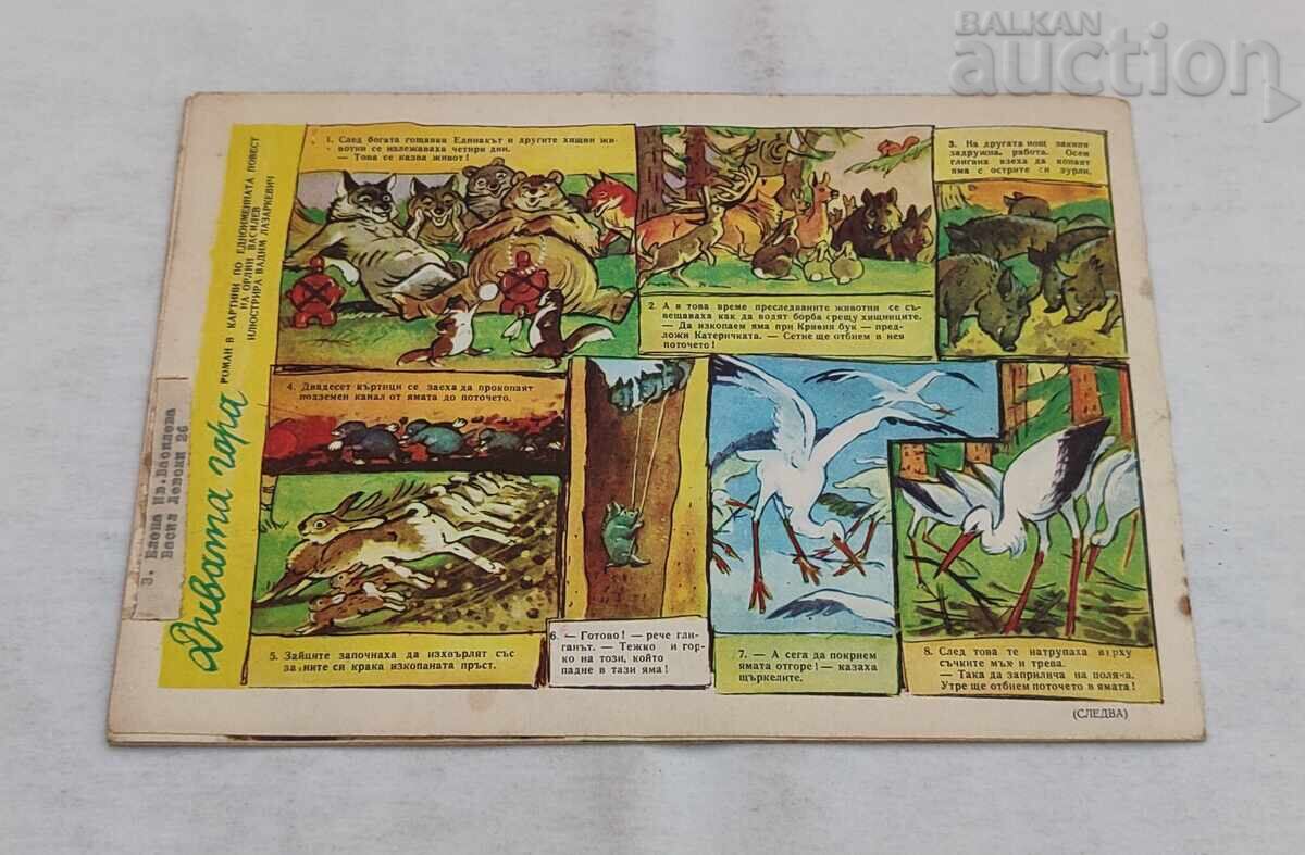 REV. SLAVEYCHE 3 / 1959 și ZIARUL MIC - 7