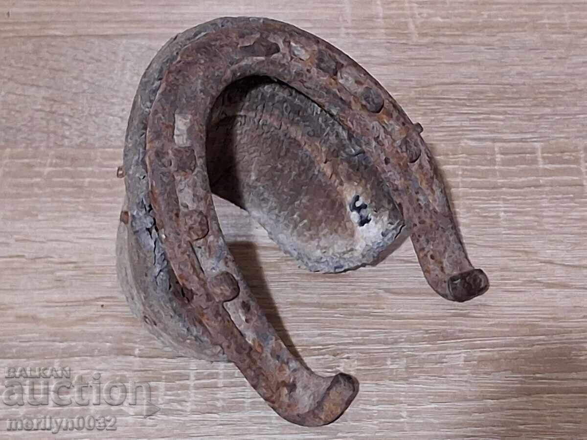 Auction  Horseshoe with hoof "Carter's Luck" wrought iron