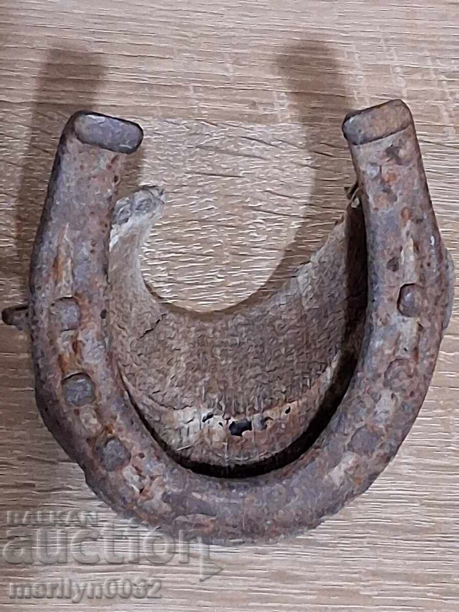 Horseshoe with hoof "Carter's Luck" wrought iron