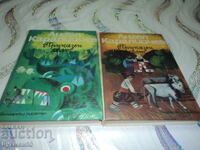 Angel Karaliichev - "Fairytale World" volumes 2 and 3