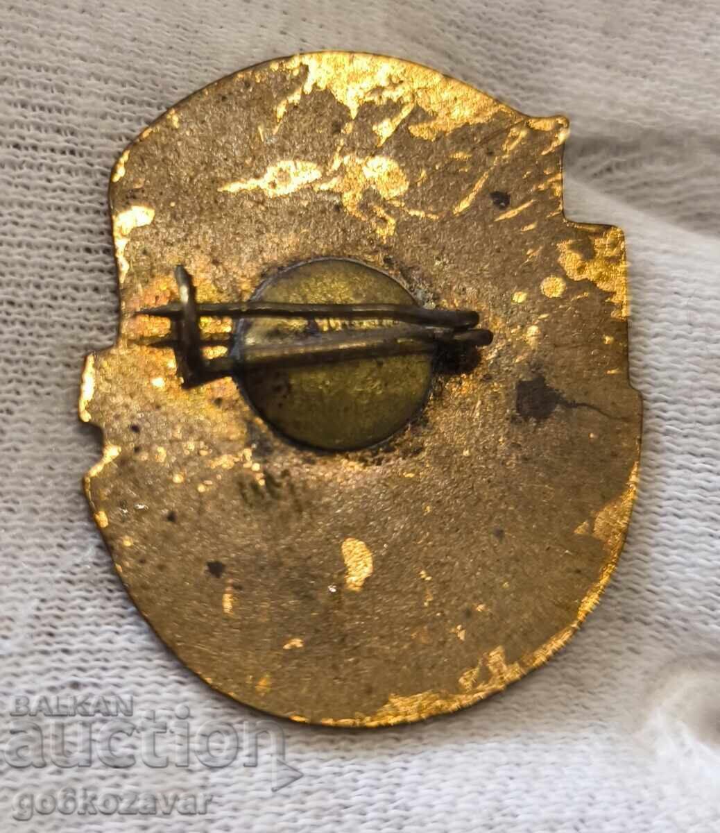 Емайлирана значка за активна профсъюзна работа с цена € 4.90 | 9.58 лв.