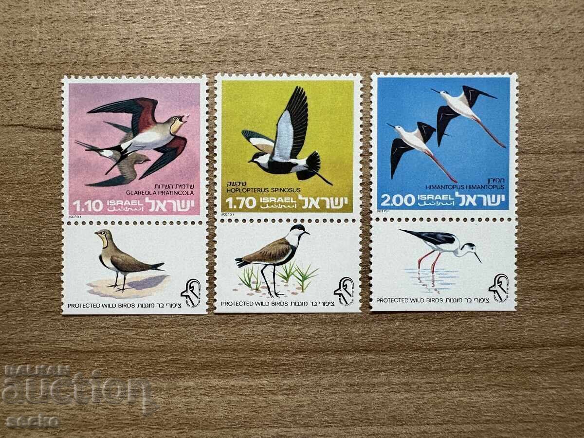 Israel - Păsări sălbatice protejate (1975) MNH