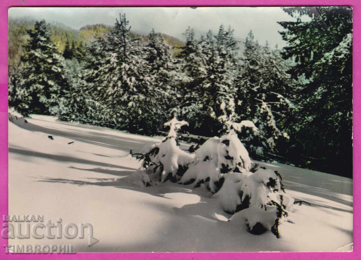 Аукцион 324223 / РОДОПИТЕ планина - Край хижа "Персенк" А-138/1962