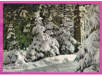 324224 / ΡΟΔΟΠΗ όρος - Κοντά στο καταφύγιο "Πέρσενκ" Α-145/1962