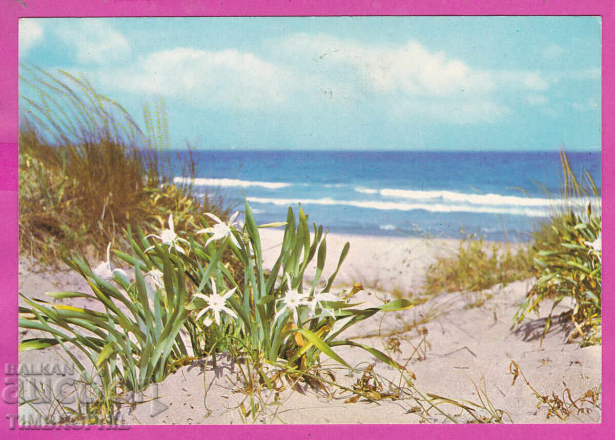 Auction  324283 / SOZOPOL - Kavatsite "Fotoizdat" Akl-2030