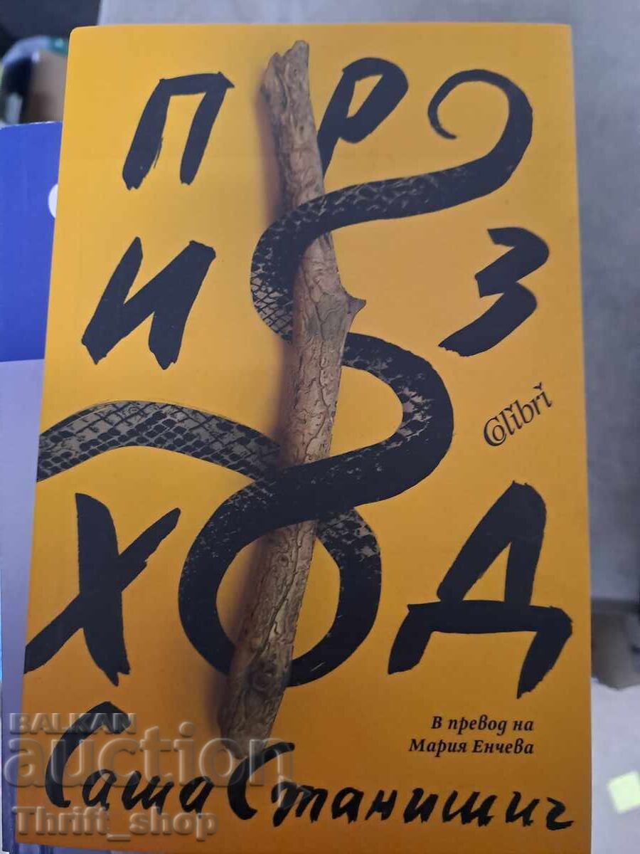 Произход Саша Станишич