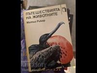 Călătoriile animalelor Mathieu Ricard