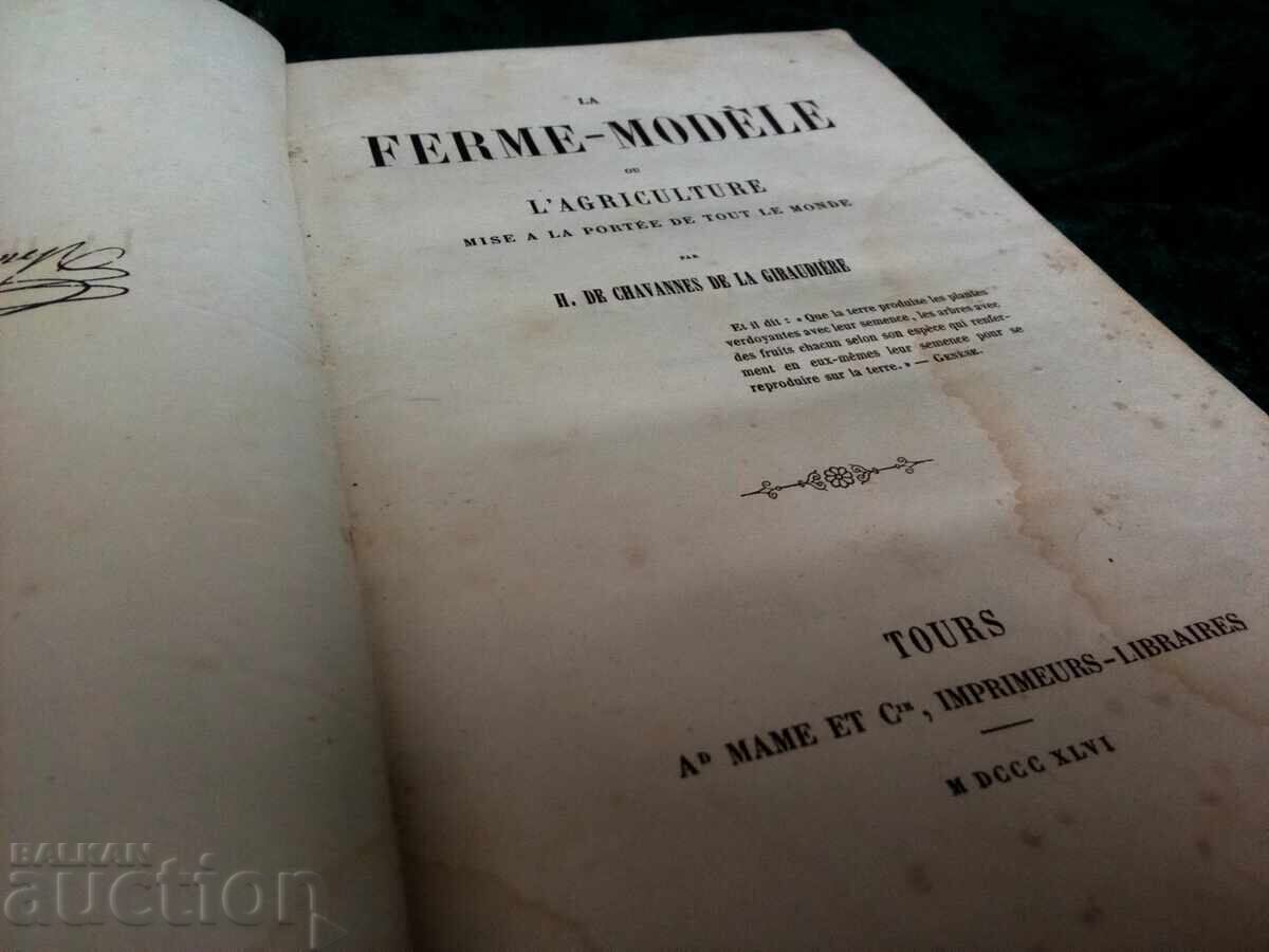 Auction  Old French Book for Farmers