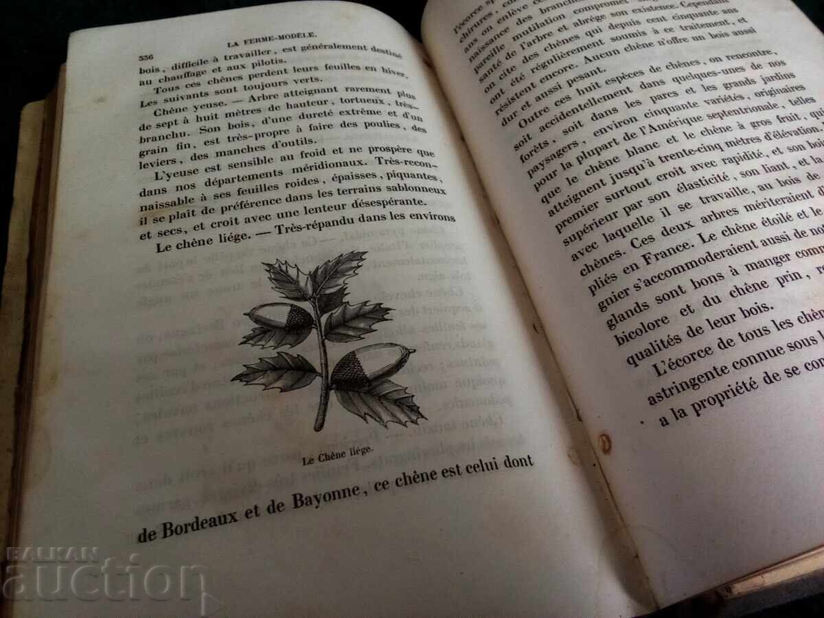 Old French Book for Farmers - 6