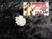 Oak Leaves from Iron Cross Medal