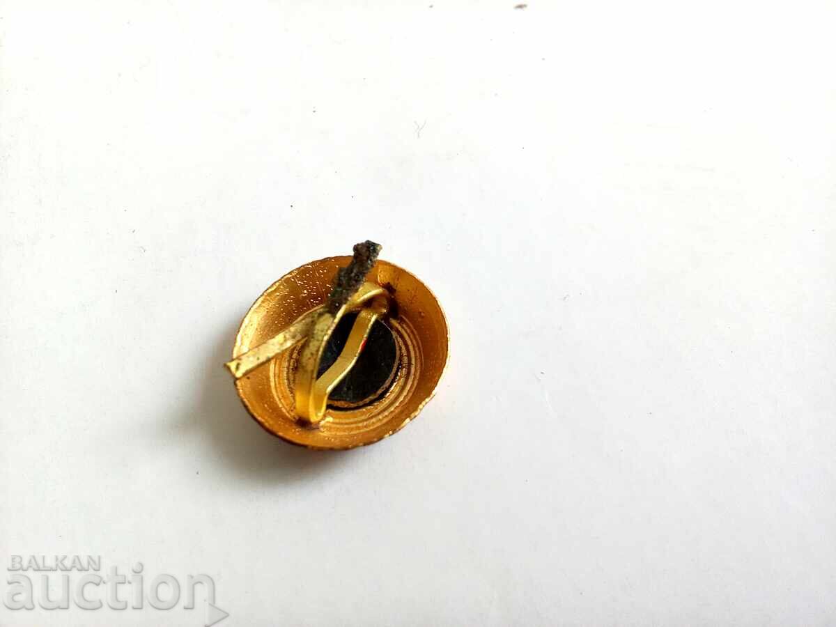 Аукцион кокарда на Федерална република Германия