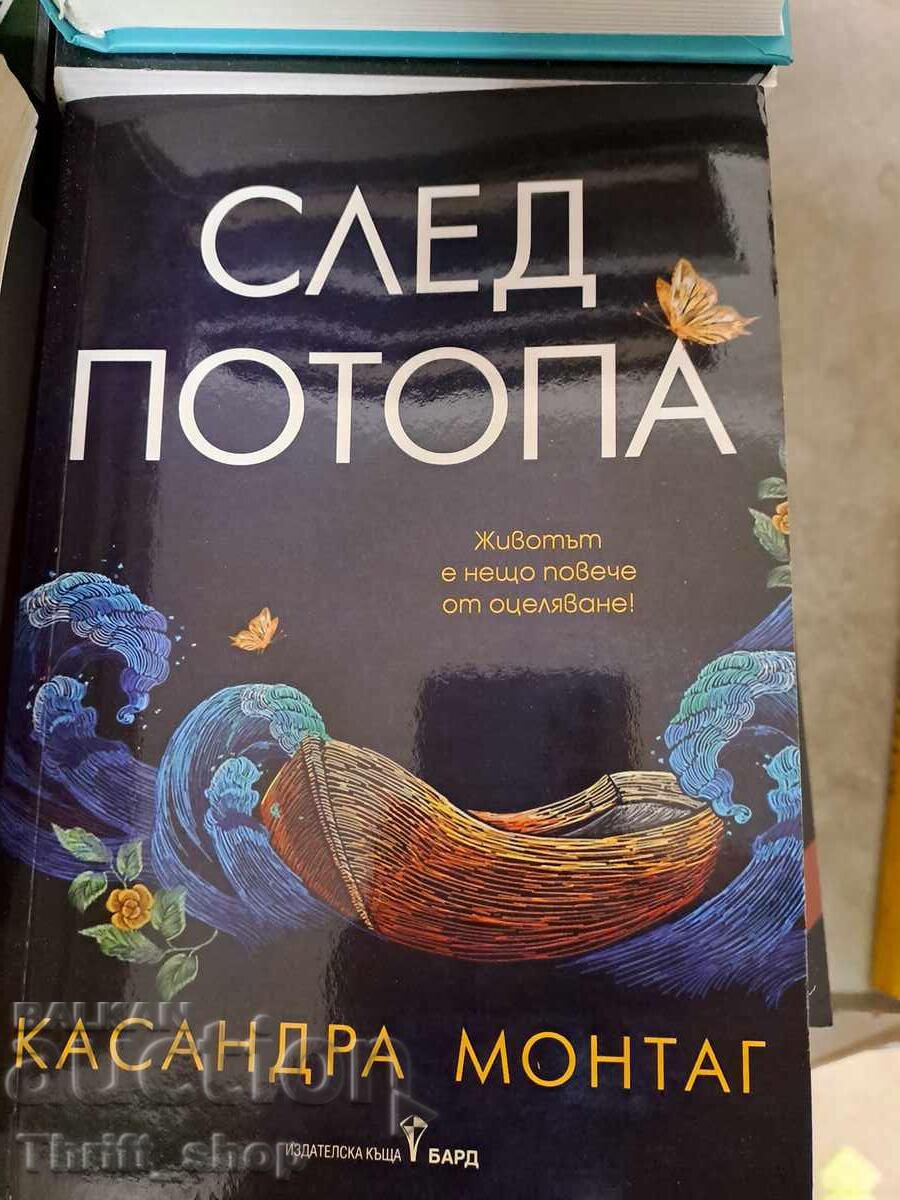 După potop, Cassandra Montag