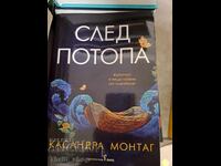 După potop, Cassandra Montag