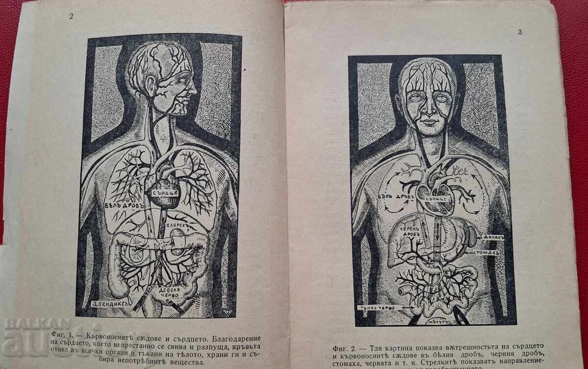 Παράδοση Αντίκα βιβλίο - Αθηροσκλήρωση