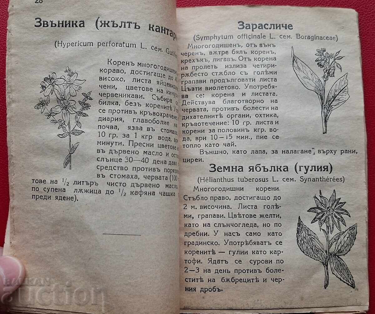 Livrarea Carte anticariat - Plante medicinale