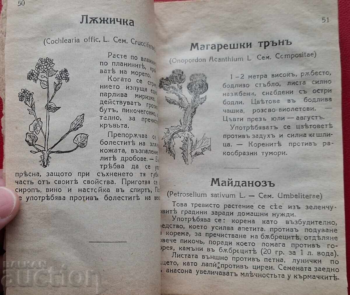 Carte anticariat - Plante medicinale - 5