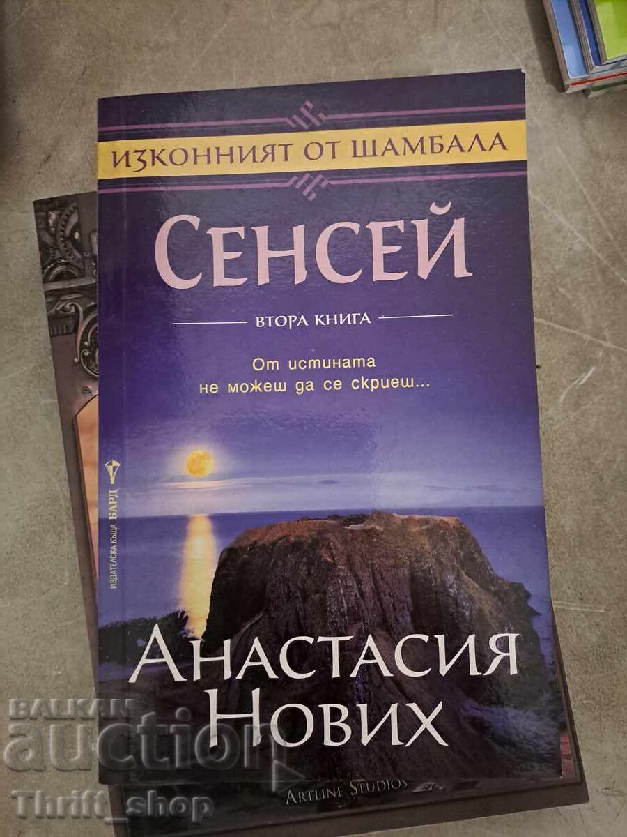 Sensei Anastasia Novych book two