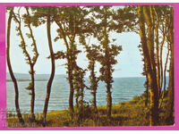 324331 / Black Sea coast view 1987 September D-13982-A