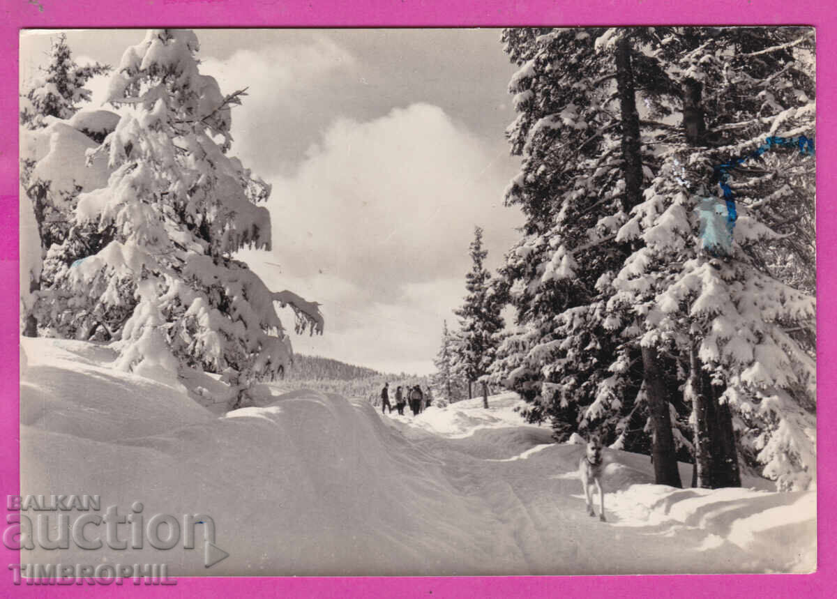 Аукцион 324338 / Зимен пейзаж в планината "Фотоиздат" А-21