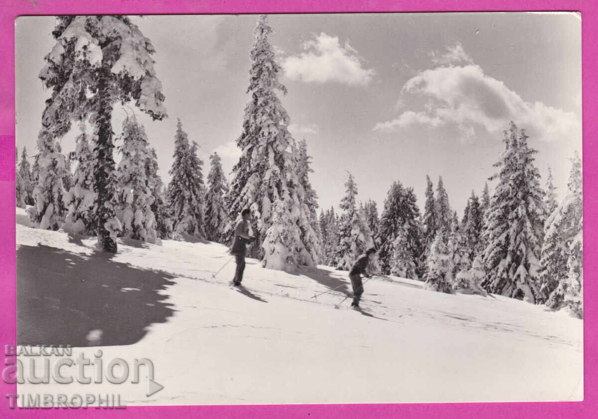 324340 / Χειμερινό τοπίο στο βουνό "Fotoizdat" A-28