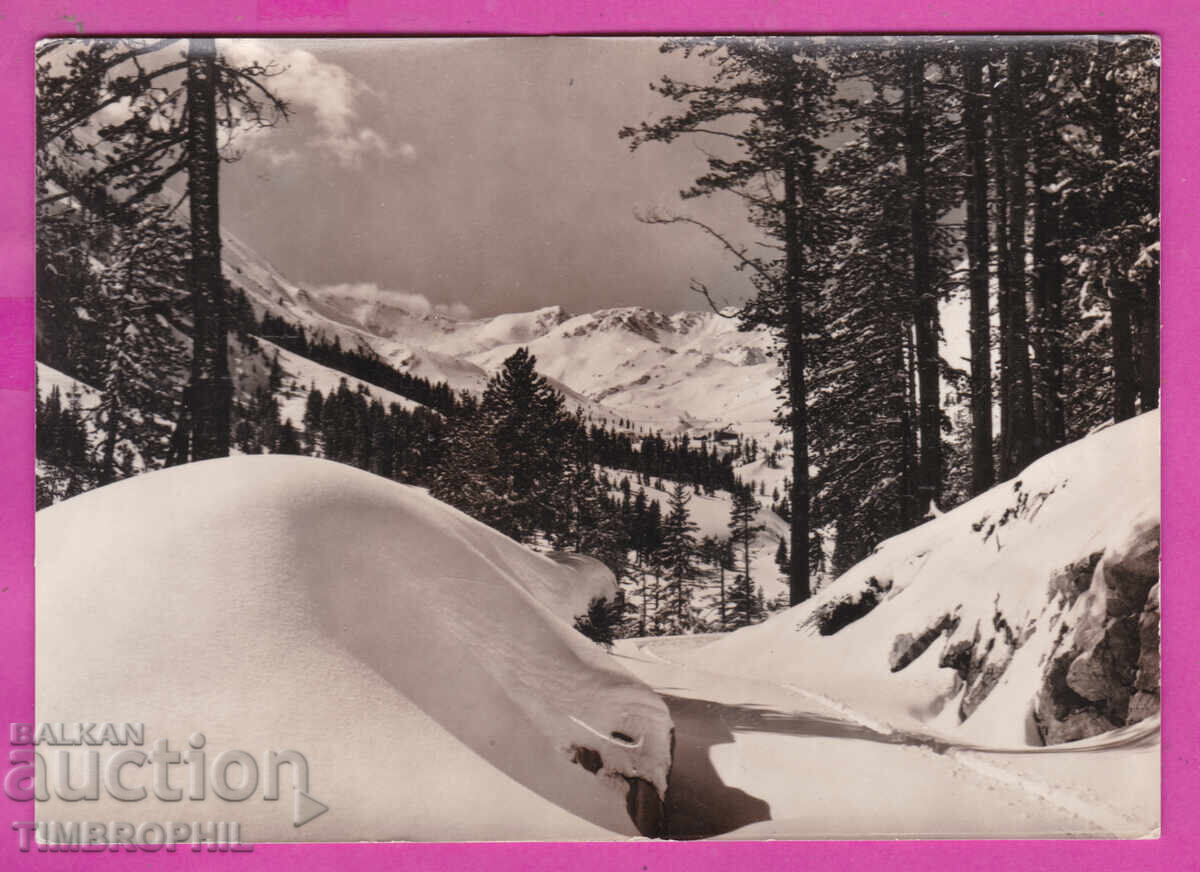 324341 / Peisaj de iarnă la munte "Fotoizdat" A-26/1962