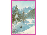 324346 / Χειμώνας στο βουνό δέντρα κορυφή 1972
