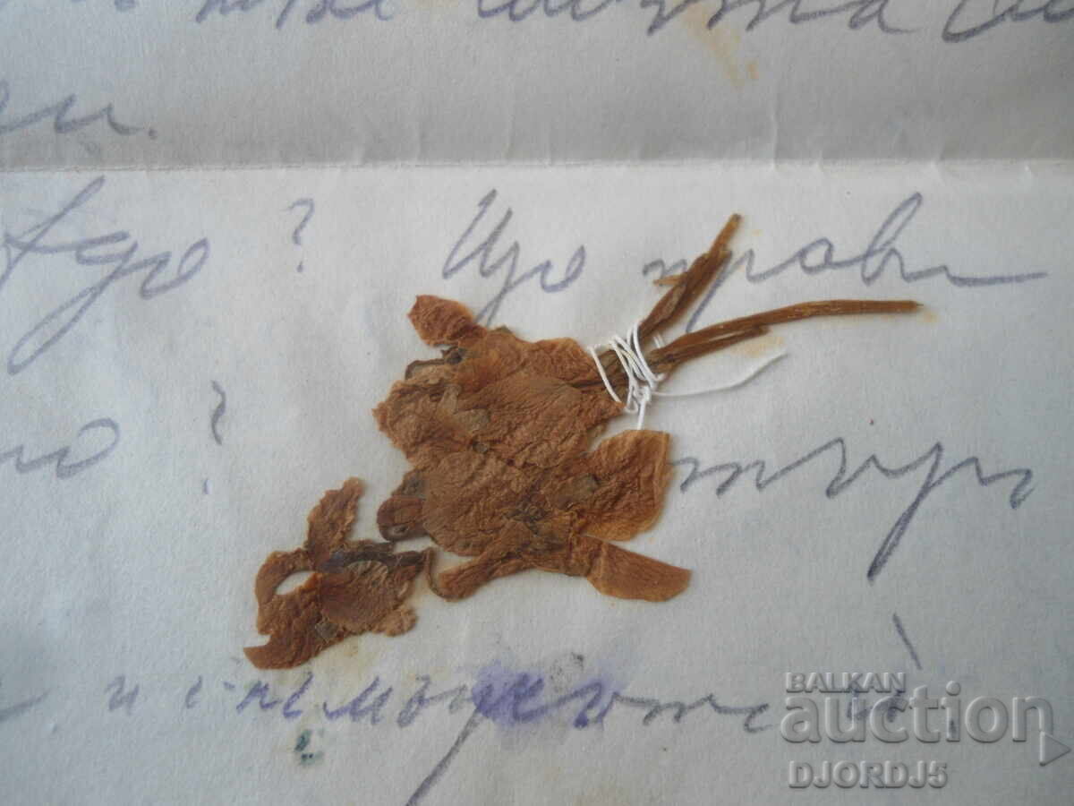 Old letter, Tryavna, 4.II.1928 - 5