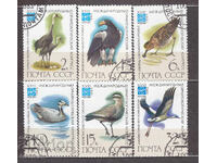 Stamps from 1 Euro Cent