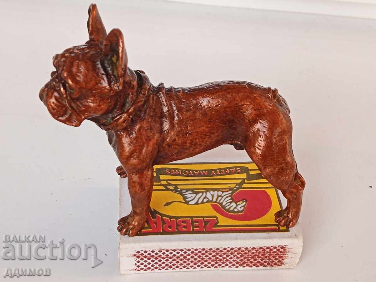 Френски булдог - 6