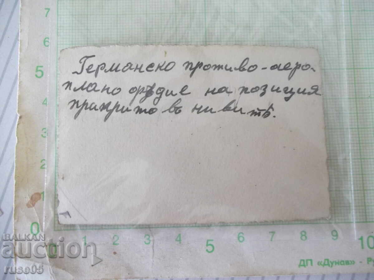 Fotografie „Tun antiaerian german pe poziție” veche cu preț € 1.53 | 2.99 BGN