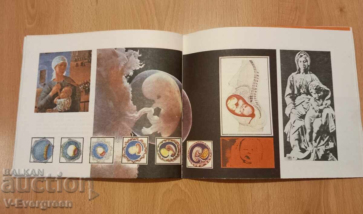 Щъркел ли ме е донесъл? Иржина Стръменьова, 198 - 6