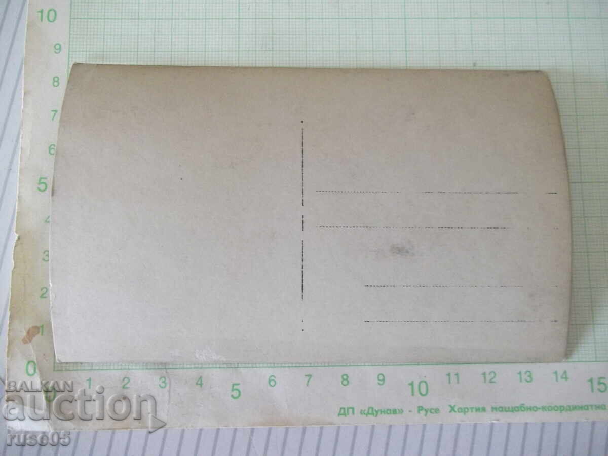 Fotografie cu un grup de bărbați la picnic așezați sub un copac vechi cu preț € 2.56 | 5.01 BGN