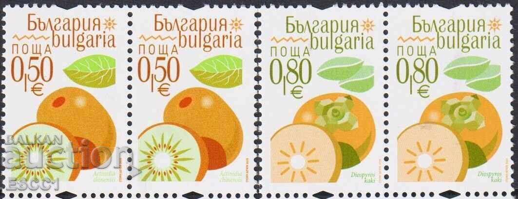 Mint stamps Flora Exotic Fruits 2026 from Bulgaria