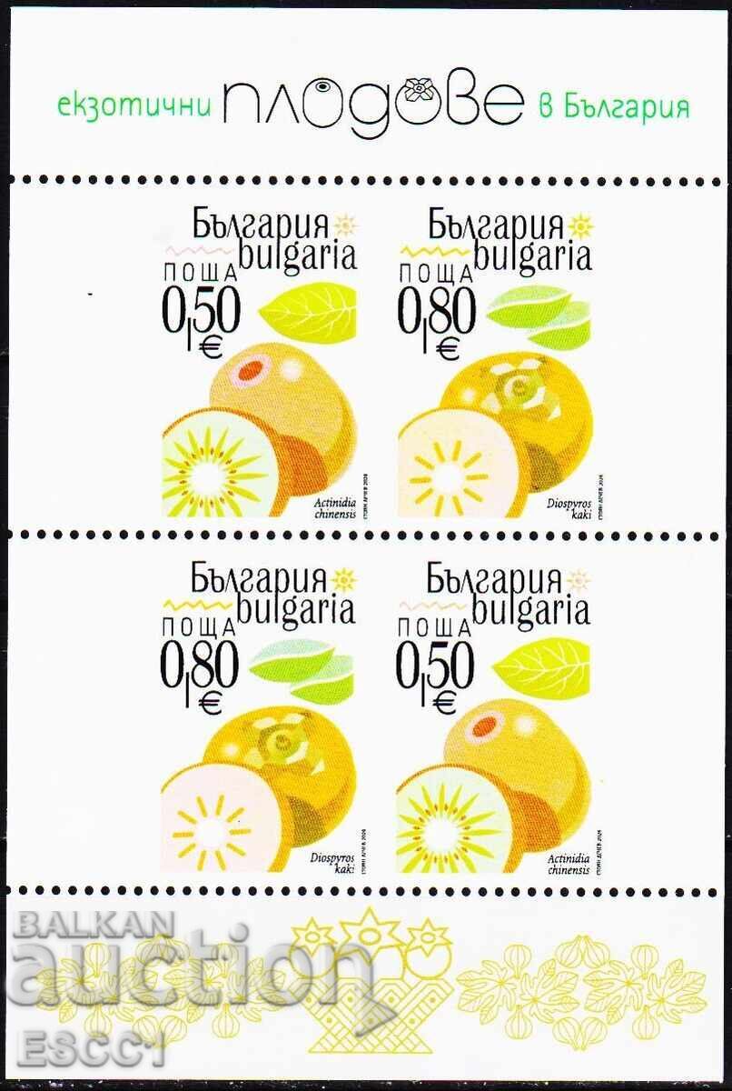 Чист блок  Флора Екзотични плодове 2026 от България