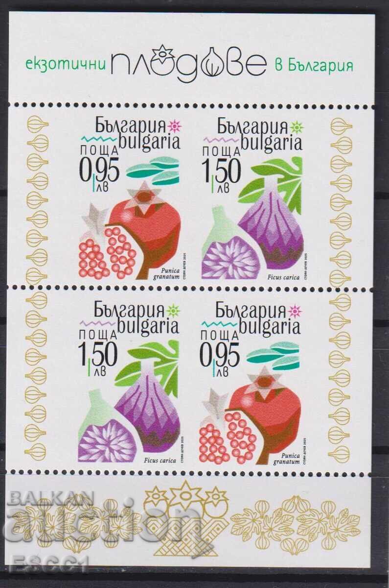 Чист блок Флора Екзотични плодове 2025 от България