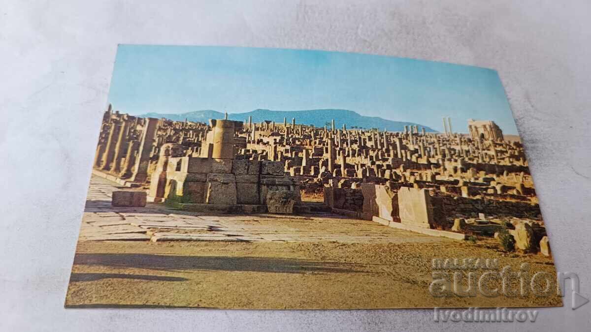 Postcard Timgad General View
